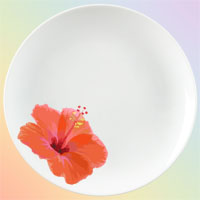Hibiscus Porzellandruck by EDDA Fr&ouml;hlich